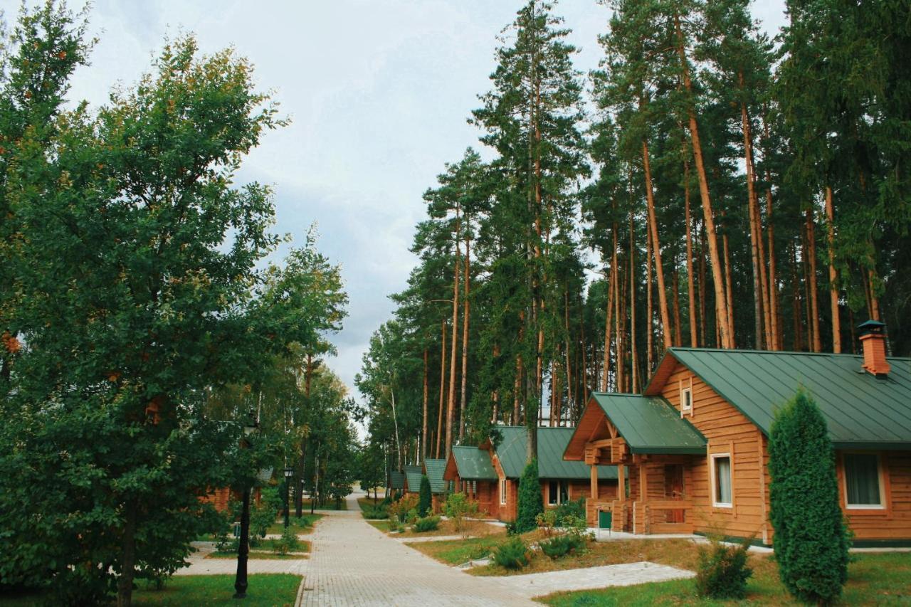Green Park Hotel Airport Minsk Silichi Dış mekan fotoğraf
